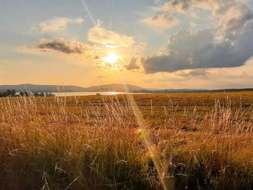 Vivat Lipno! - Lake View Apartment