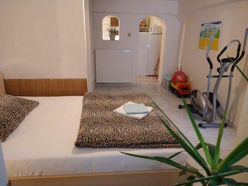 Apartm�n S Vlastn� Terasou