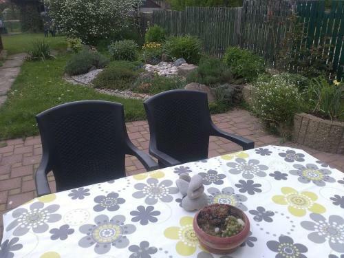 Apartm�n S Vlastn� Terasou