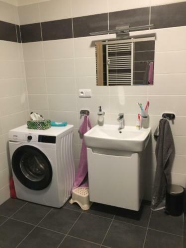 Apartamento Papeto