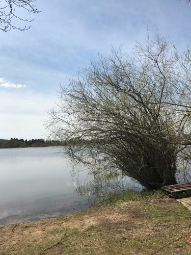 Domekulipna