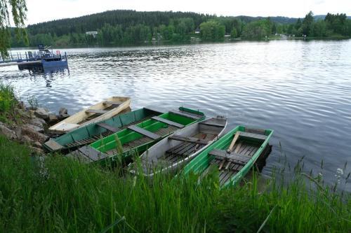Apartamento Lipno Wellness - Frymburk C 402-403