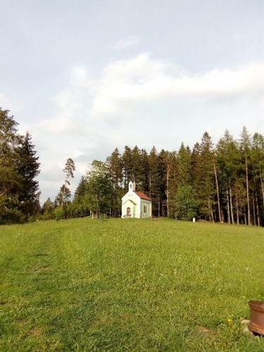 Apartm�n Monny
