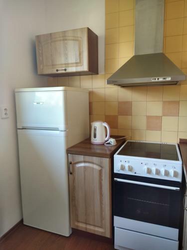 Apartamento Velk� Byt V Centru Frymburku, Large Flat In Center