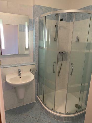 Apartm�ny Wellness Frymburk