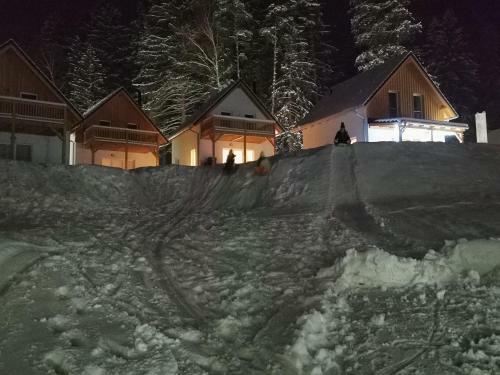Lipno-lake