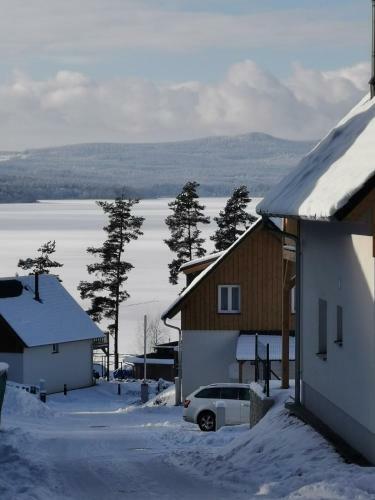 Lipno-lake