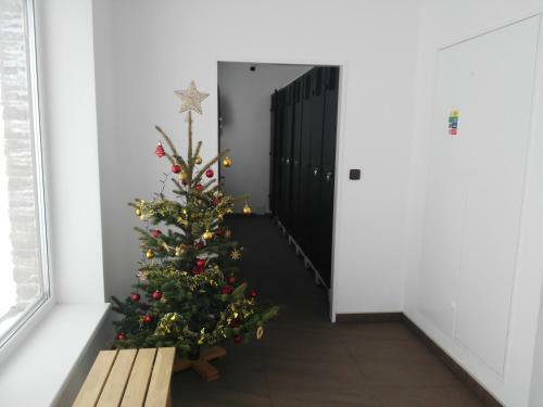 Apartm�n Barborka 05