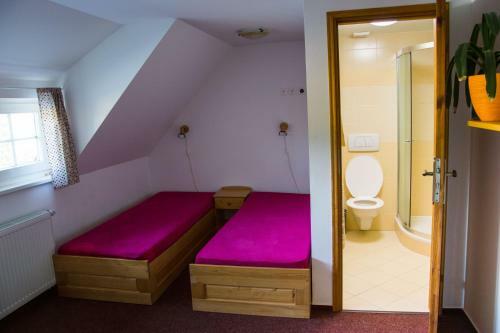 Hostal Horsk� Penzion ?ernava