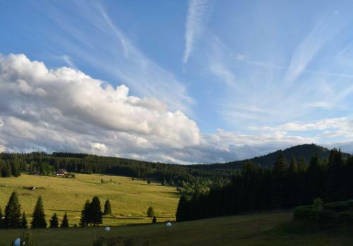 Hostal Pension Helena Honesov�