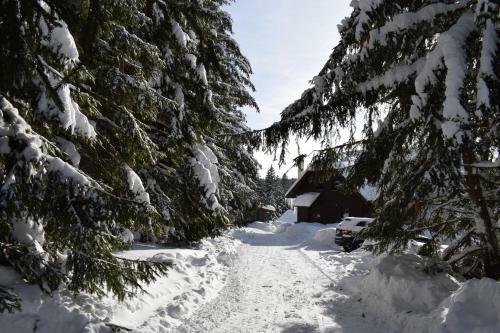Hostal Pension Helena Honesov�