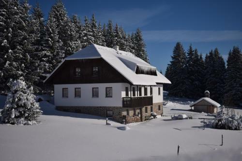 Hostal Pension Helena Honesov�