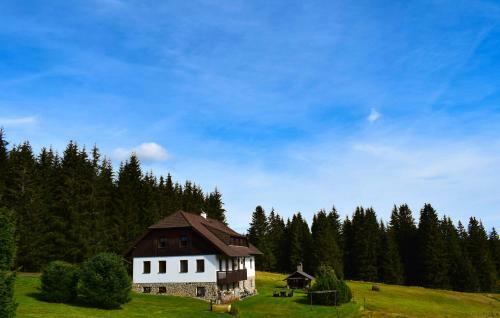 Hostal Pension Helena Honesov�