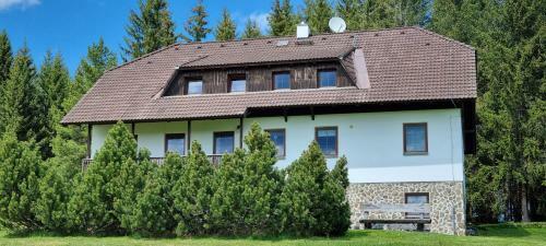 Hostal Pension Helena Honesov�