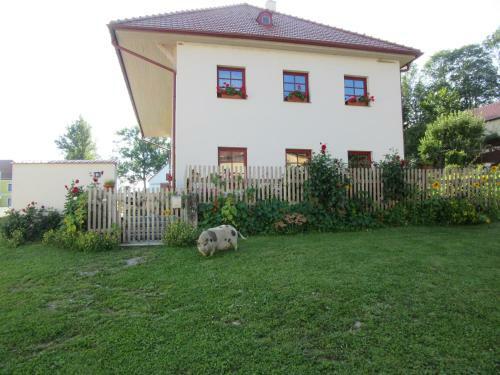 Apartamento Ubytov�n� Praschlhaus