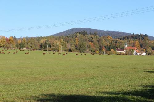 Apartamento Ubytov�n� Praschlhaus