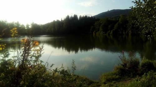Apartamento Ferienwohnungen Meis