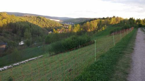 Apartamento Ferienwohnung Wei�
