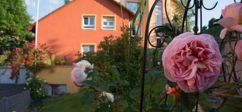 Apartamento Exklusives-dachgeschossstudio-mit-dachterrasse-stadtnah