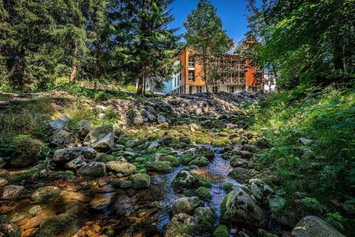 Apartm�n B Harrachov