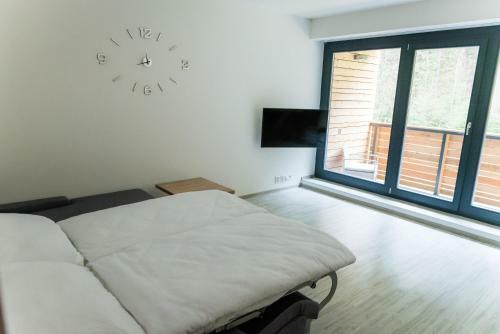 Apartment Mumlava Harrachov 5