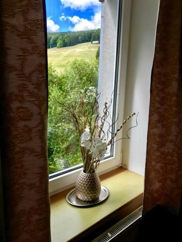 Aparthotel Apartm�ny Gryf Harrachov