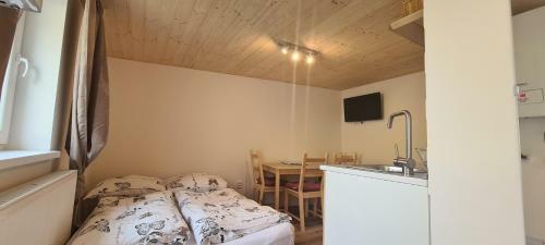 Apartm�ny Mamut Harrachov