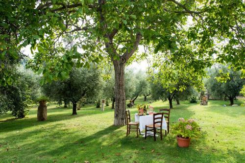Il Casale Degli Ulivi B&B