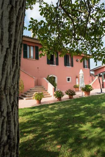 Il Casale Degli Ulivi B&B