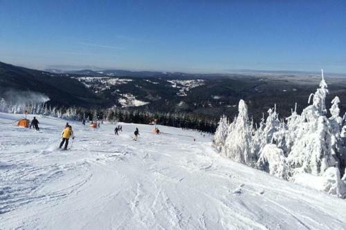 Harrachov Resident Apartments With Terrace