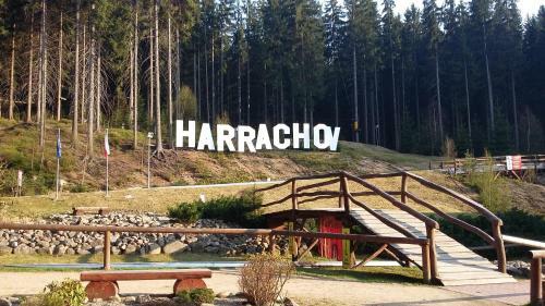 Harrachov Resident Apartments With Terrace