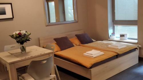 Harrachov Resident Apartments With Terrace