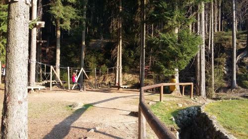 Harrachov Resident Apartments With Terrace