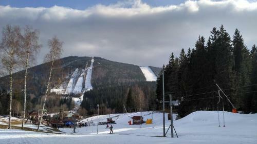 Harrachov Resident Apartments With Terrace