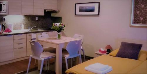 Harrachov Resident Apartments With Terrace