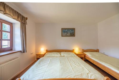 Chalupa A Apartm�ny Harrachov 156