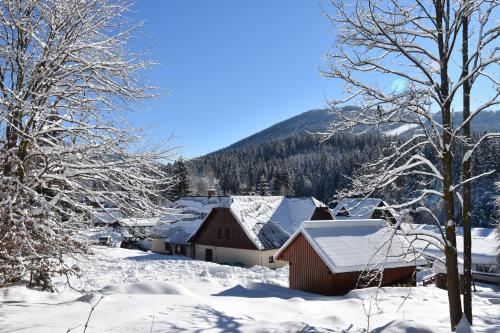 Chalupa A Apartm�ny Harrachov 156