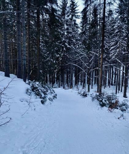 Apartm�ny Panorama Harrachov
