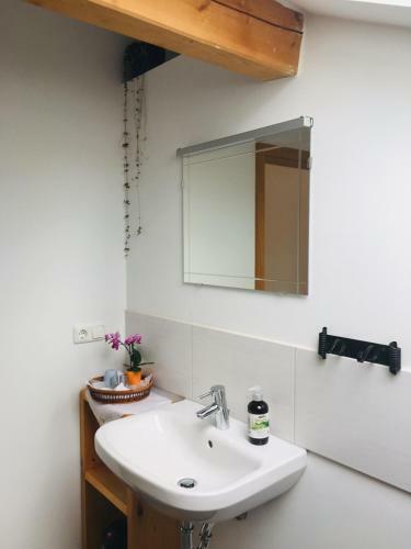Apartamento Ferienwohnung Bergblick