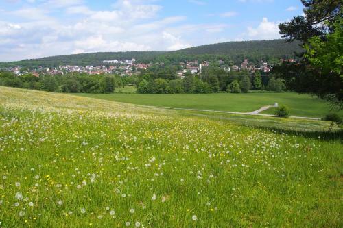 Apartamento Haus Sonneneck