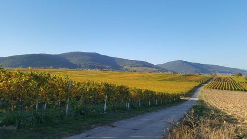 Apartamento Haus Waldblick - Ferienwohnung Sonnenpl�tzchen, Bad Bergzabern