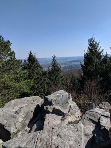 Apartamento Haus Waldblick - Ferienwohnung Sonnenpl�tzchen, Bad Bergzabern