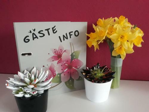 Apartamentos Lotus