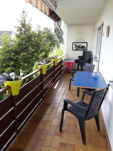 Apartamentos Lotus