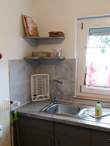 Apartamentos Lotus