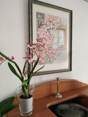 Apartamento S�deifel Badem