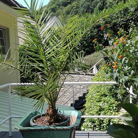 Apartamento Haus Sch�nblick