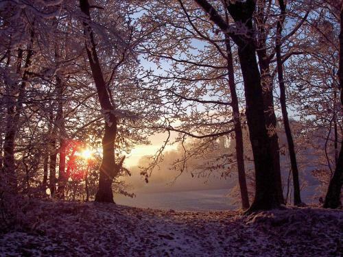 Apartamento Ferienwohnung Am Klosterberg 6
