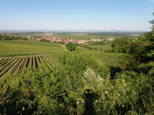 Apartamento Ferienwohnung Lingenfelder