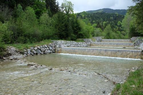 Apartamento Am Jenbach
